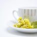 7 důvodů proč pít zelený čaj